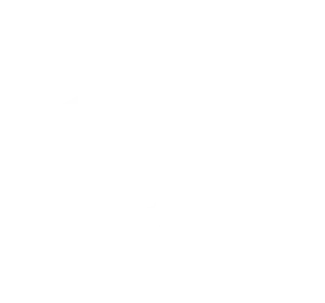 journey of life